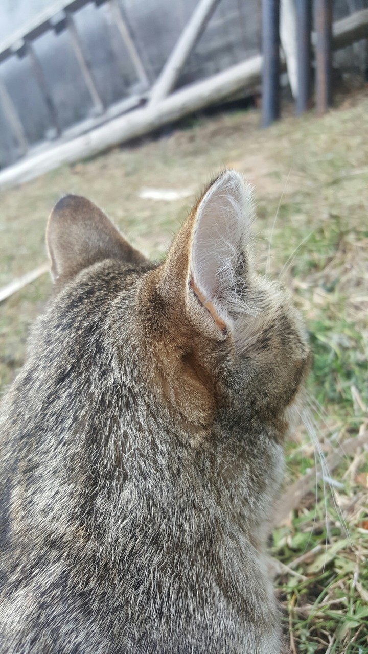 cuty^-^