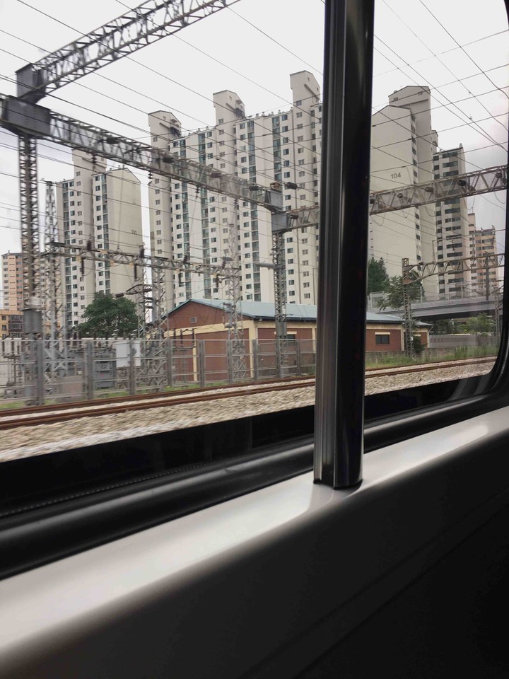The train.