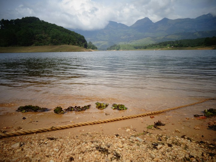 Lake Side View