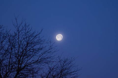 moon