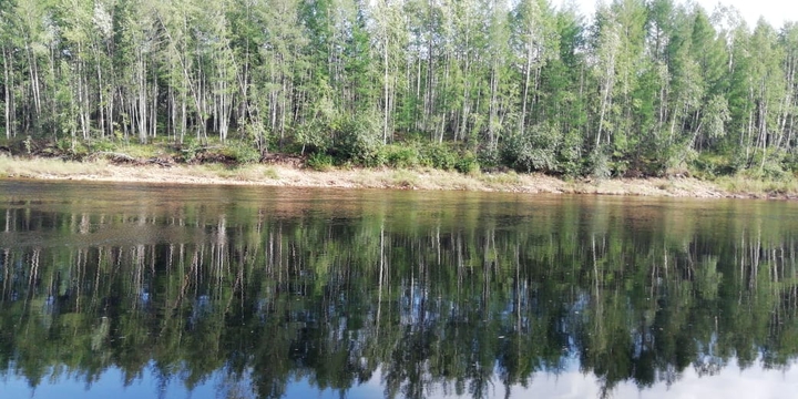Водное зеркало