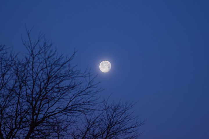moon