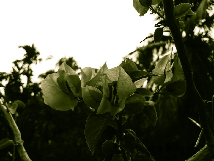 Beautiful.