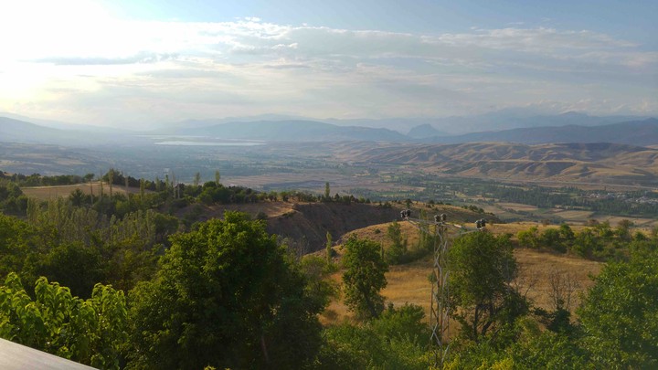 The view