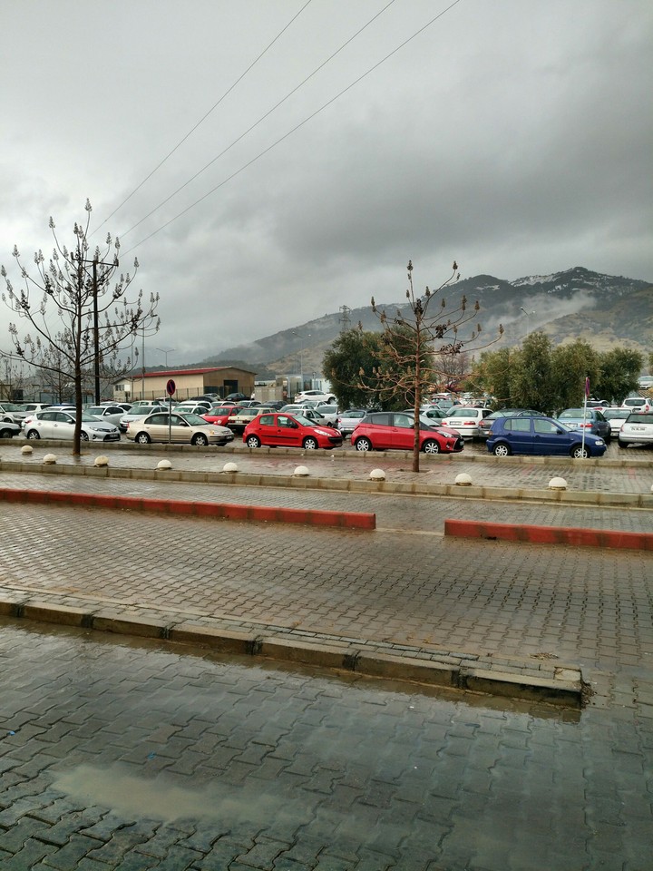 after rain