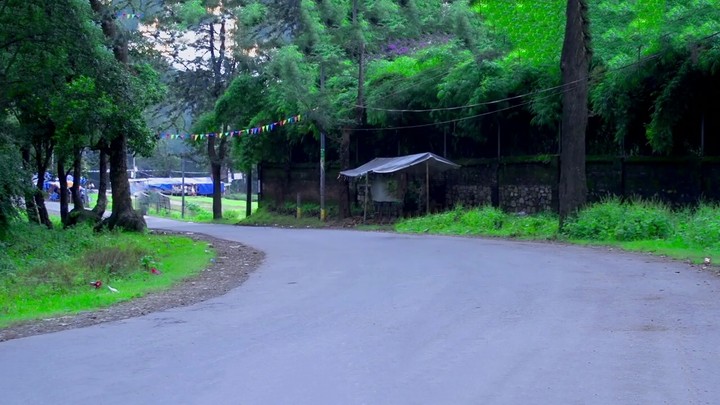 nature