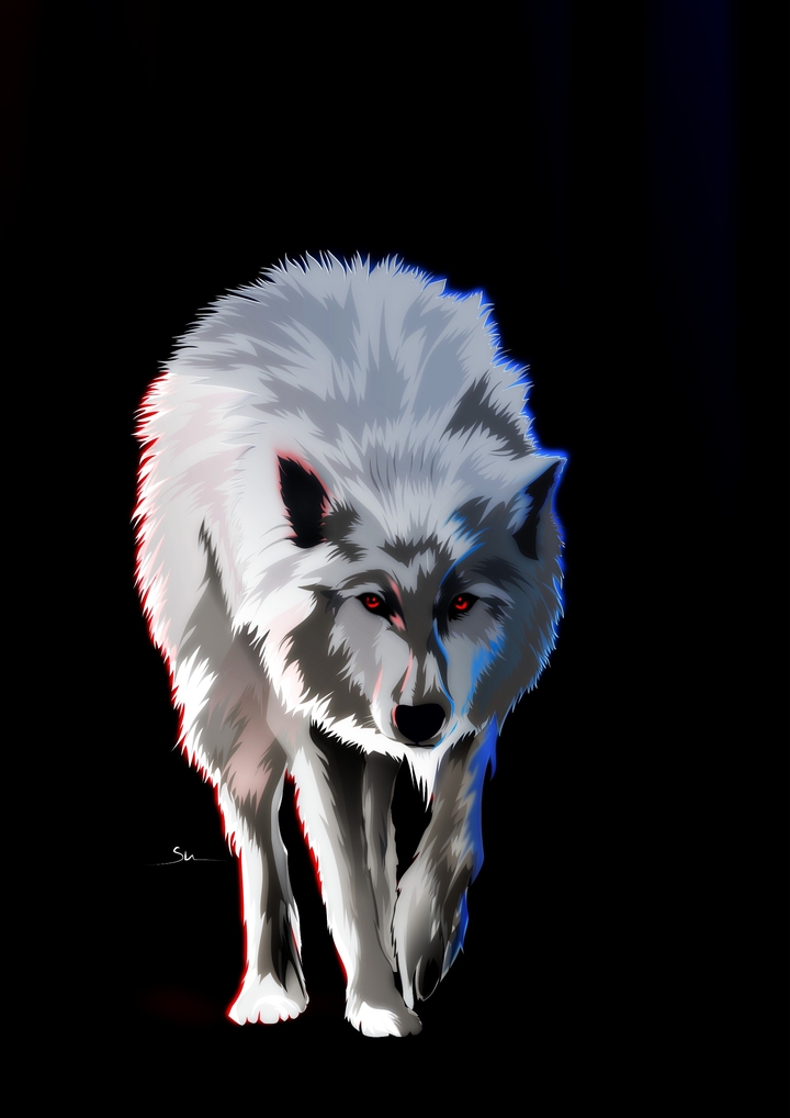 Suu Wolf