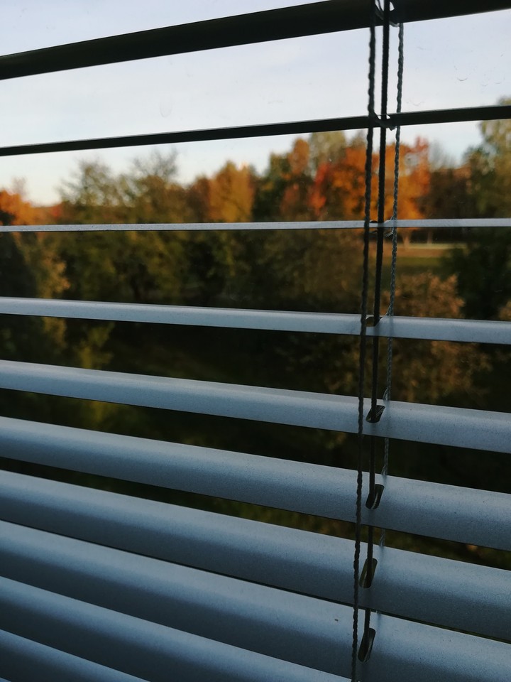 Window view