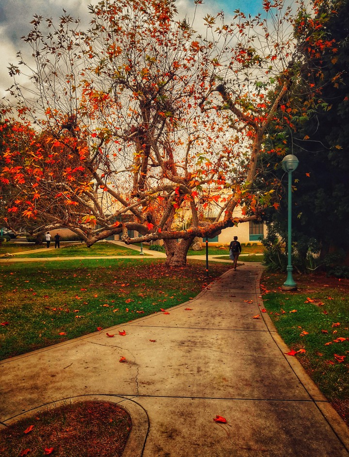 Eerie