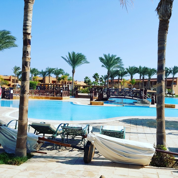 Palms and pool
