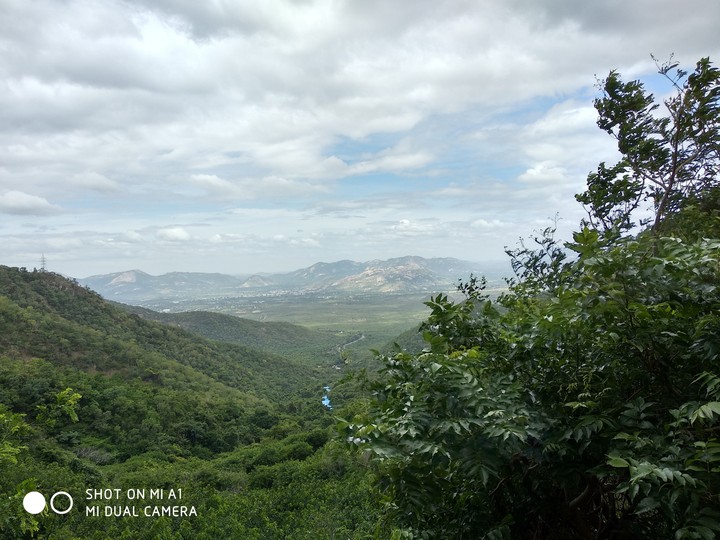 srivari metlu