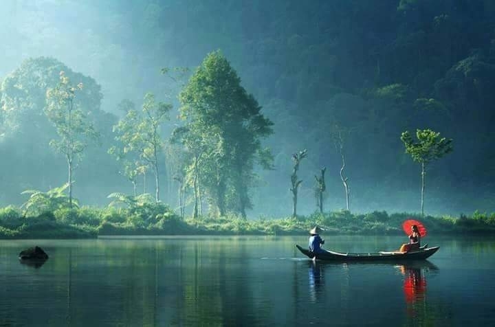 the Bengalis beautiful nature