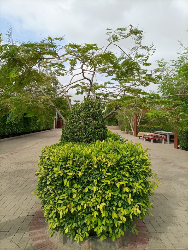 Love Green