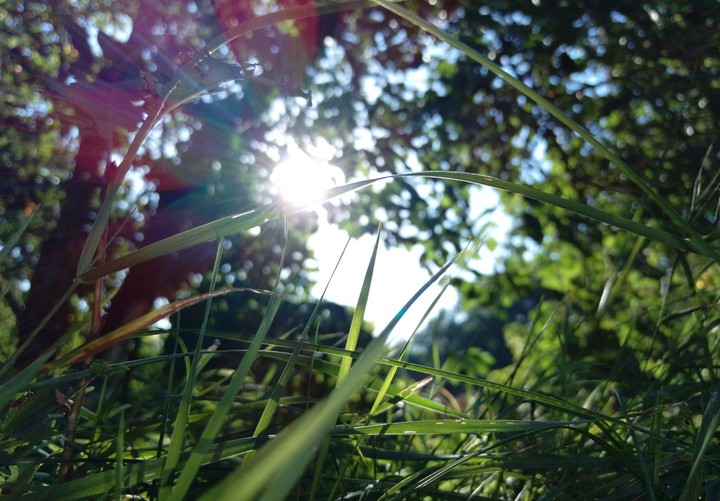 Sunshine