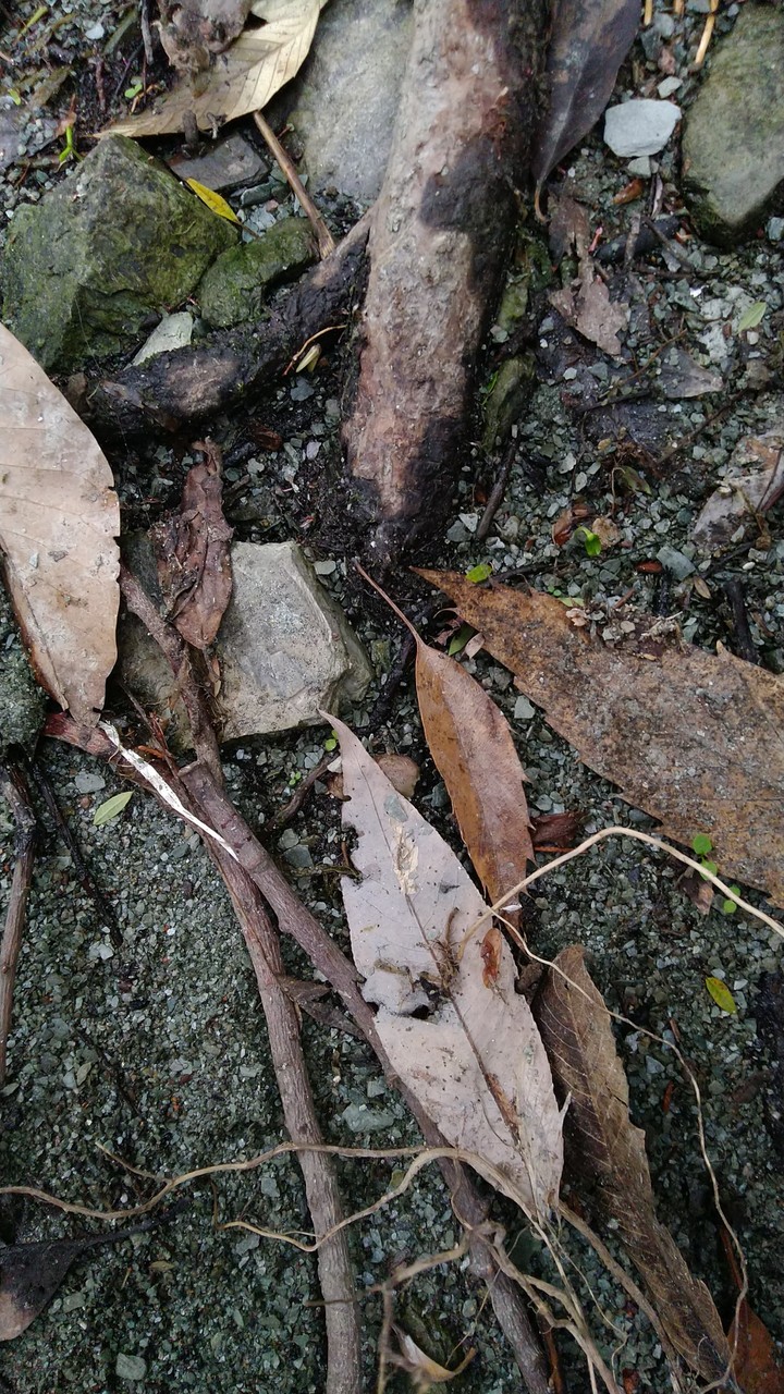 just nature..!