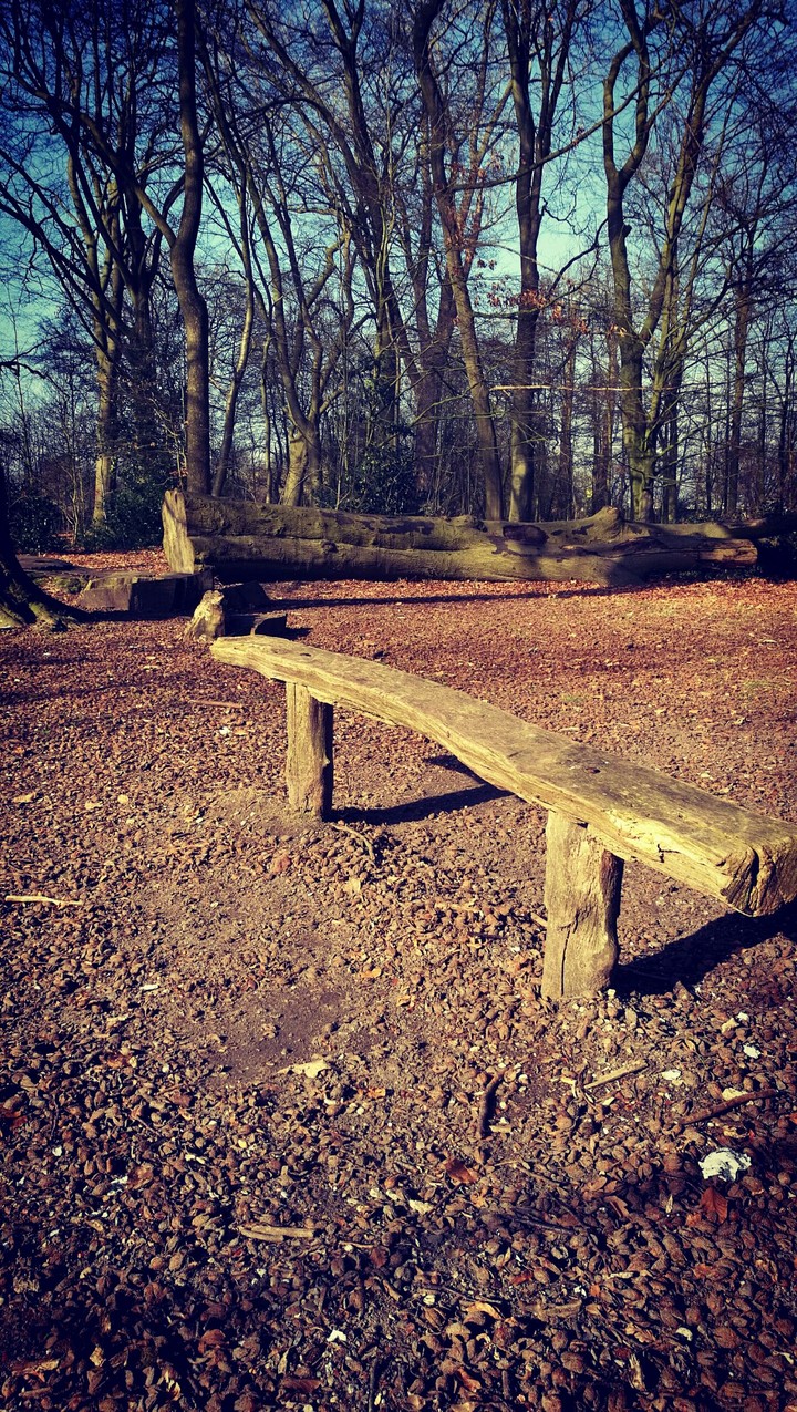 Wooden bench