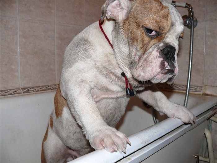 no me quiero bañar