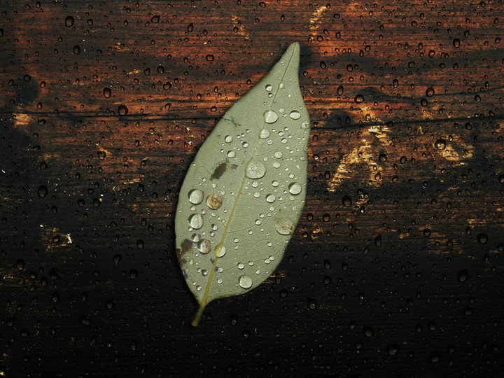 RainShower !