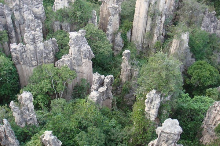 stone forest