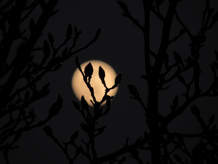 moon