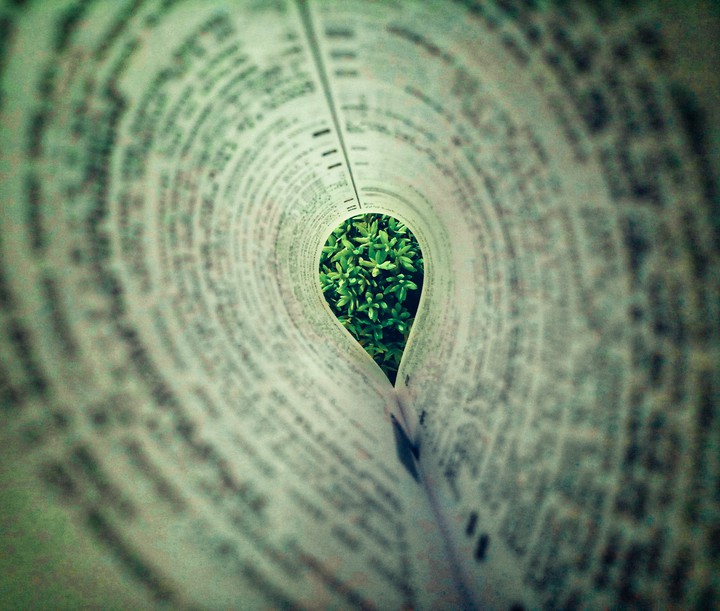 books and nature