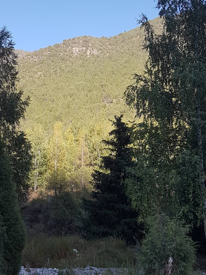 горы