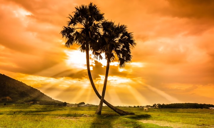 sun light