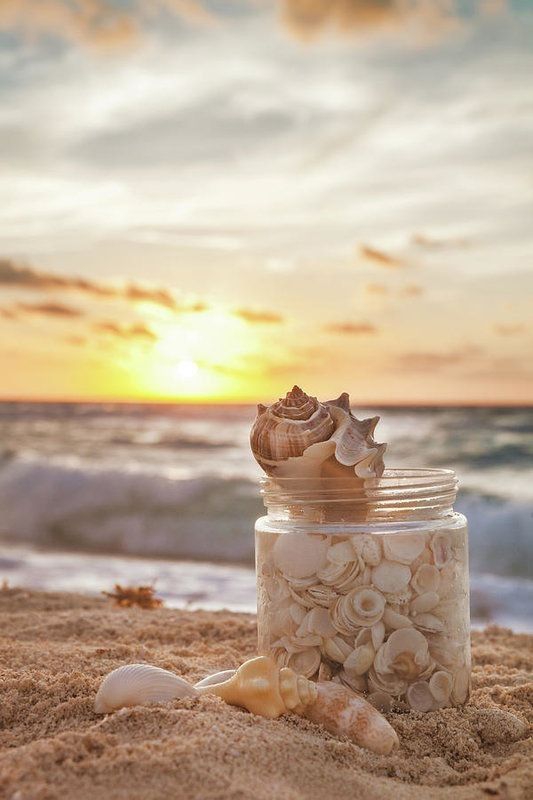 sea