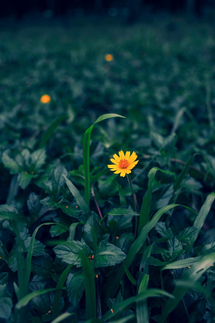 simple things...