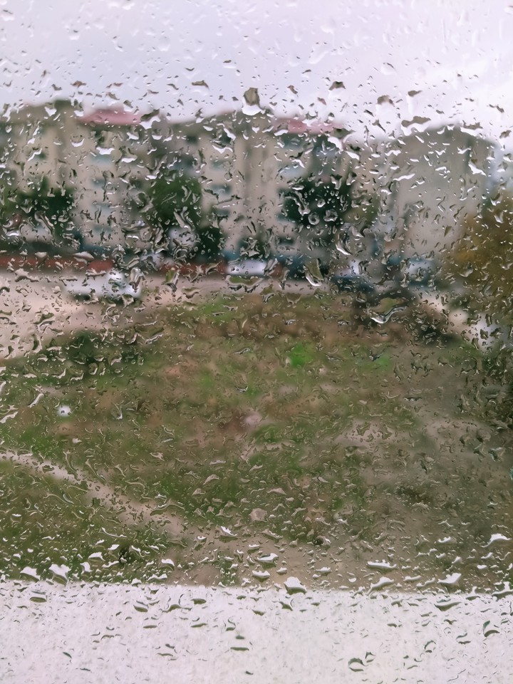 Rain from my window