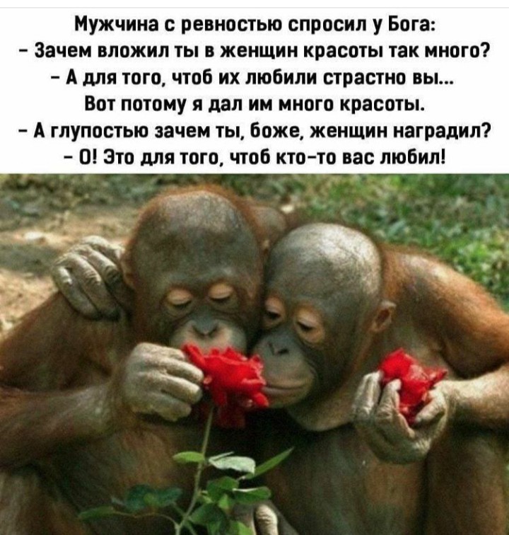 Без комментариев