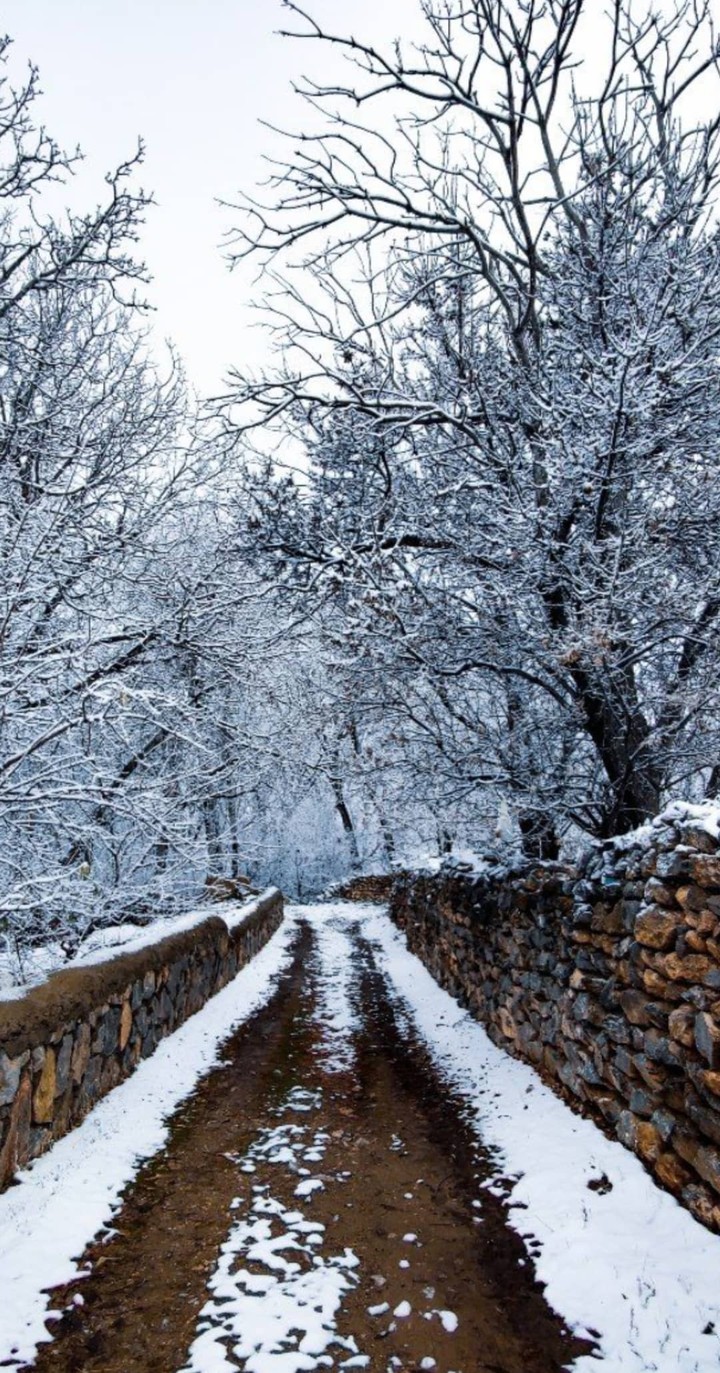 winter