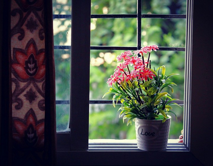 flowers