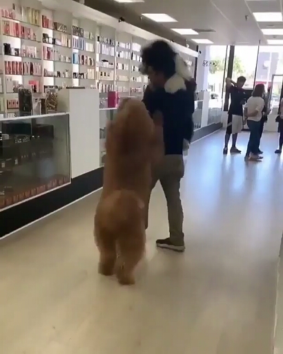 dag