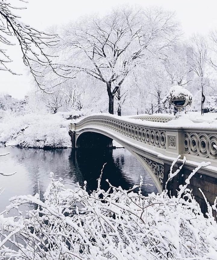 Snow Love