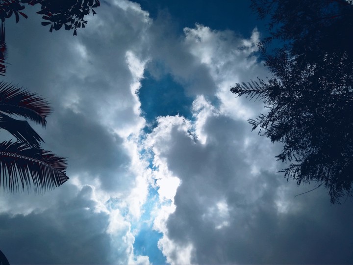 Between the sky and the trees.