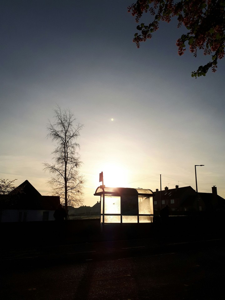 Morning
