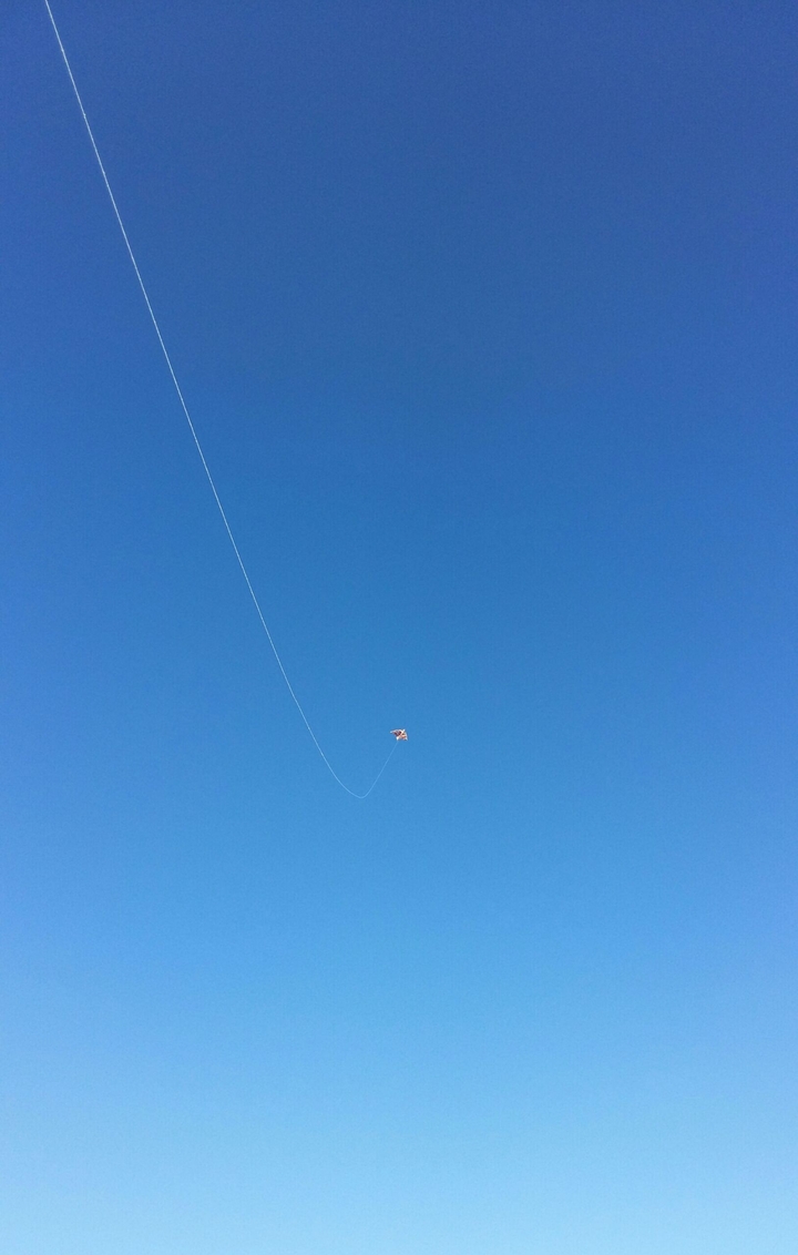 Kite.......fun.....life