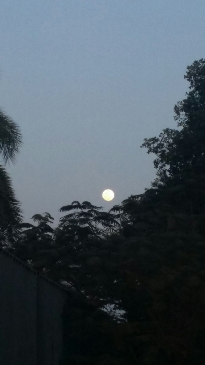The Moon in the early evening