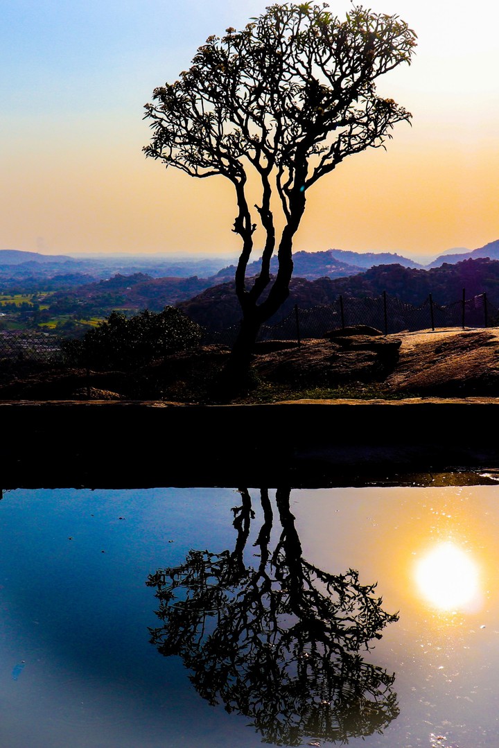 Reflection