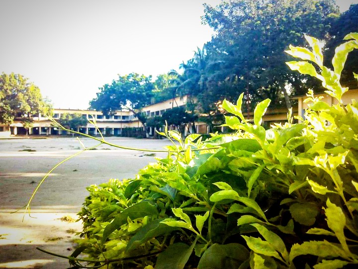School