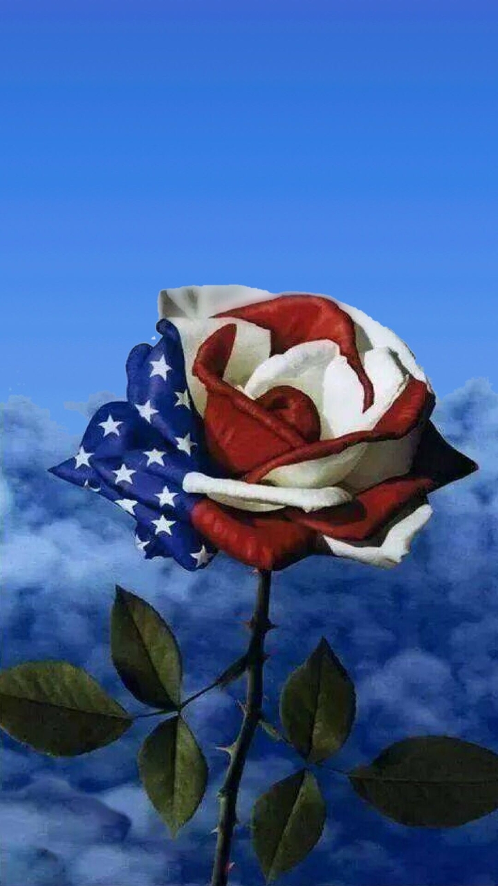 Patriotic Rose