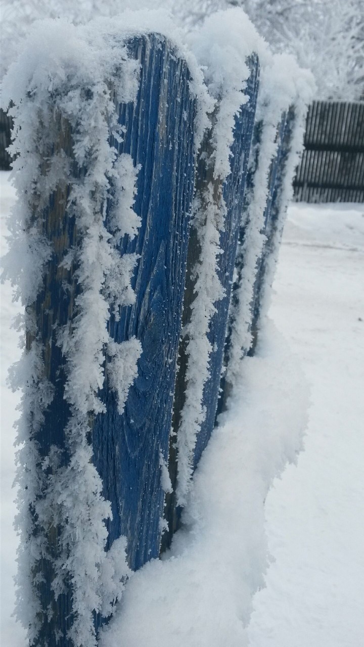зима