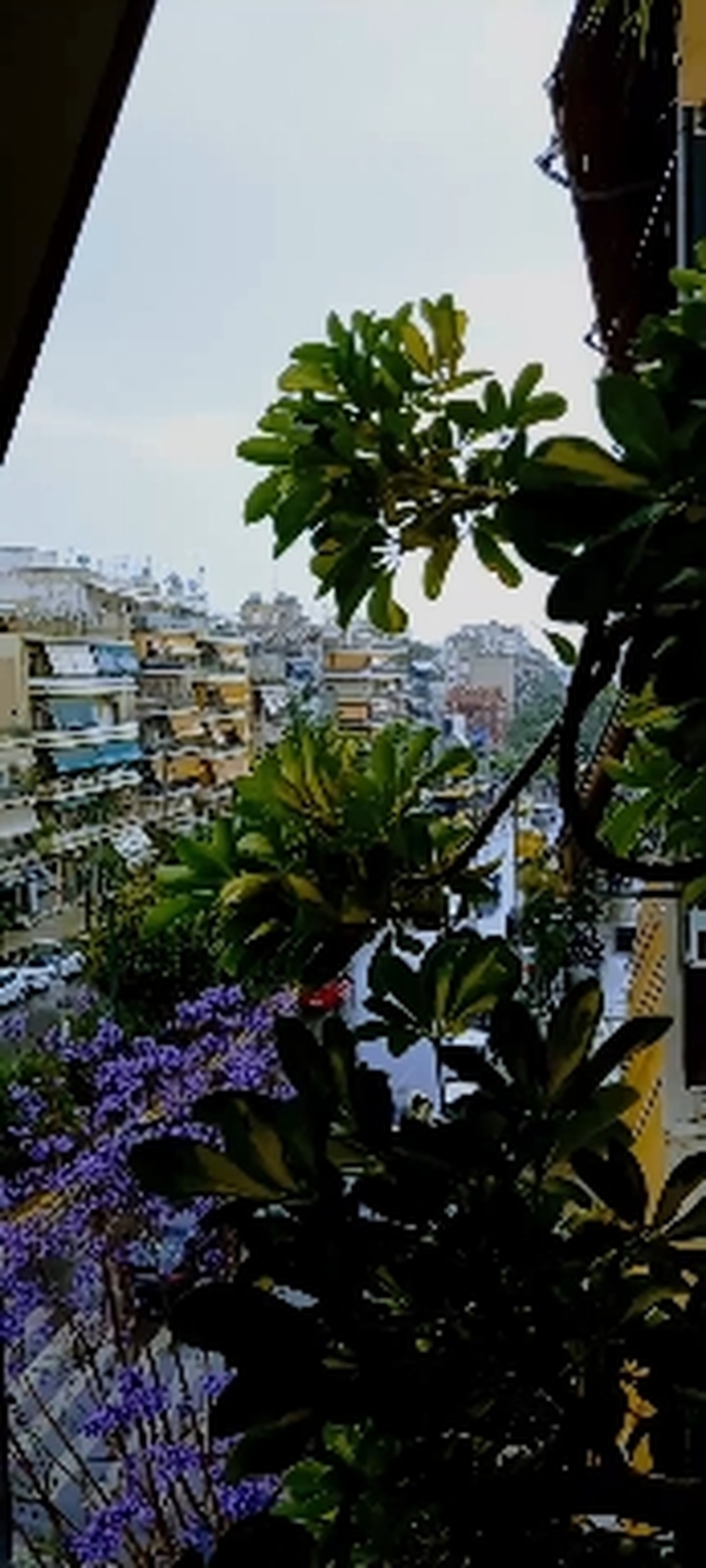 Spring Rain