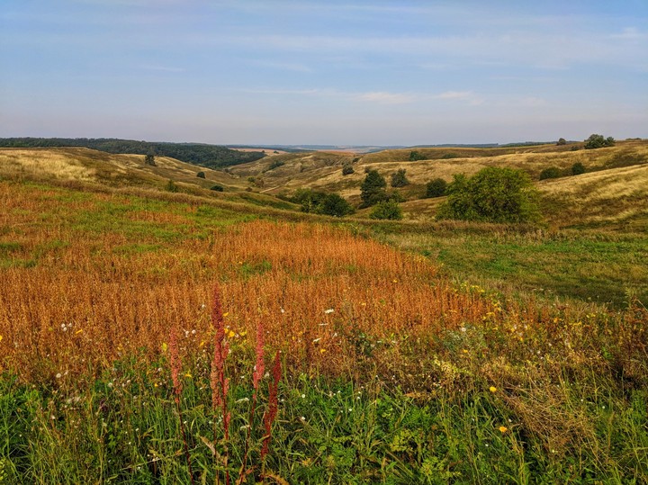 autumn fields