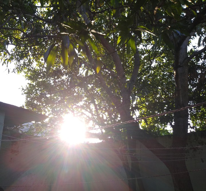 sol intenso