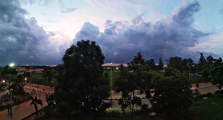 Nature's beauty