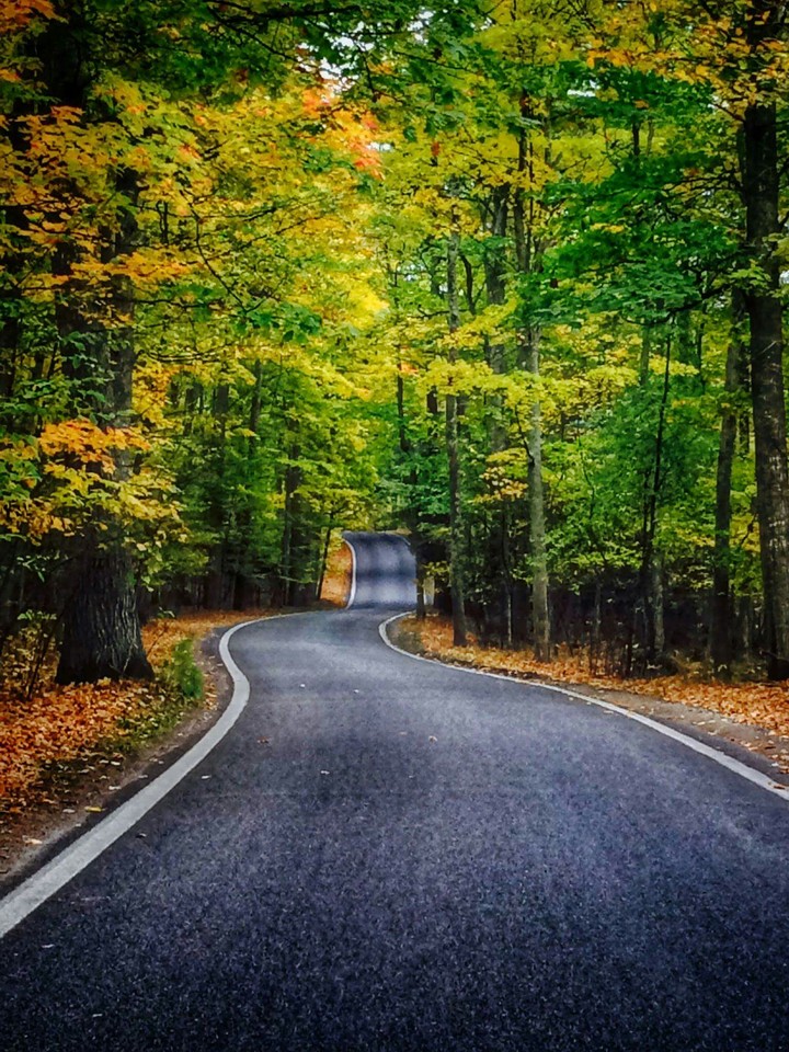 Beautiful Pure Michigan Tunnel of Trees