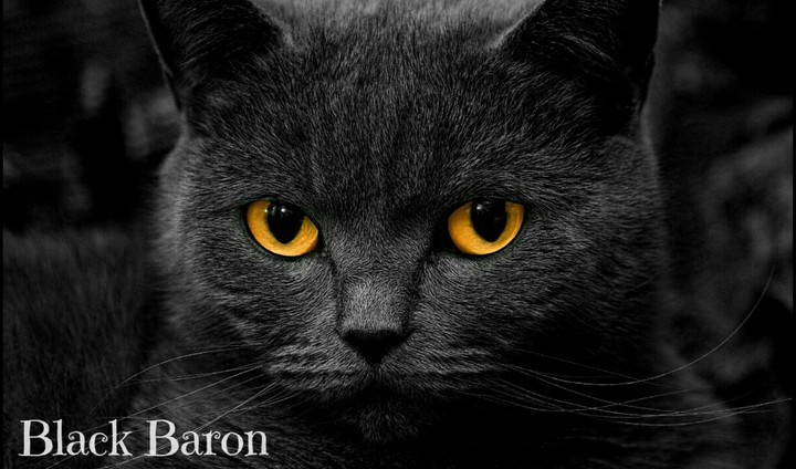 Black BAron
