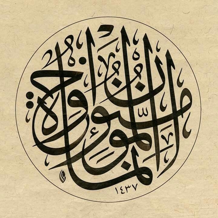 إنما المؤمنون إخوة